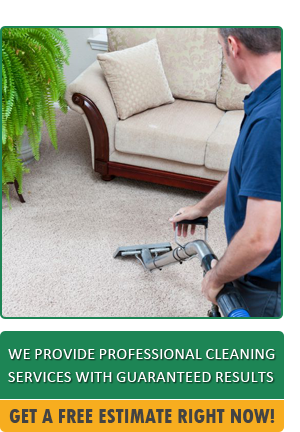 Professional Carpet Stain removal